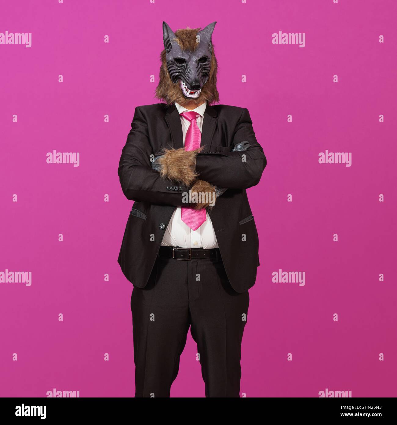 Sur fond rose est un homme vêtu d'un costume noir avec veste, d'une chemise et d'une cravate blanches, portant un masque de loup-garou, avec ses bras croisés. Banque D'Images