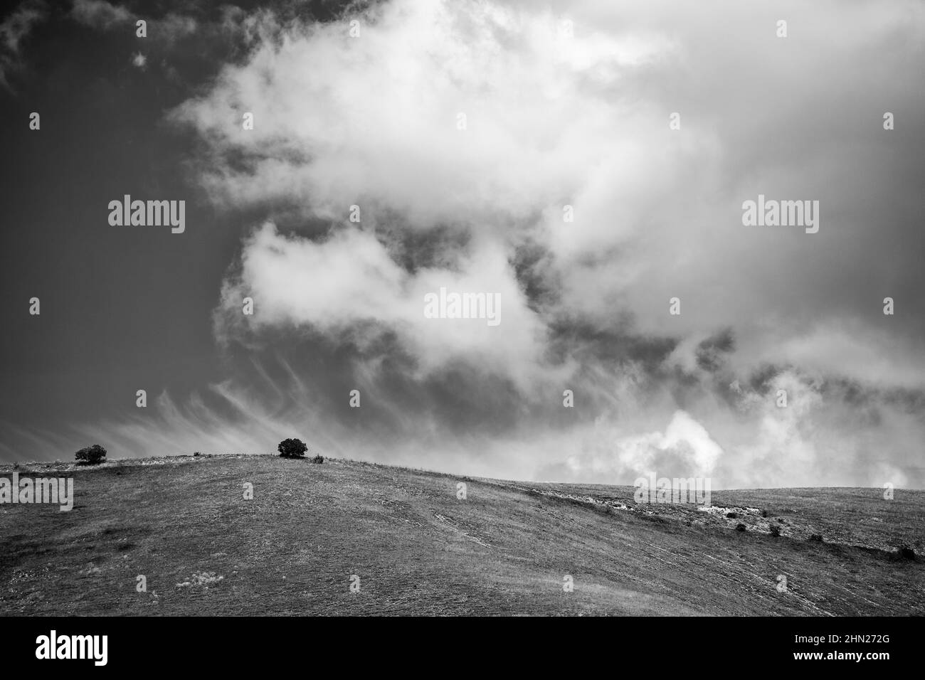Un buisson sur une colline entourant le plateau de castelluccio di Norcia. Les nuages orageux s'approchent Banque D'Images