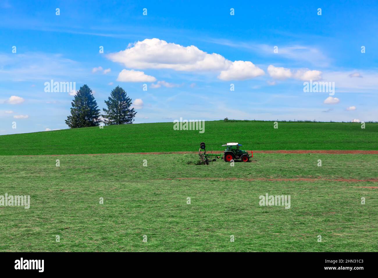Récolte de la luzerne . Tracteur travaillant dans un champ agricole au printemps Banque D'Images