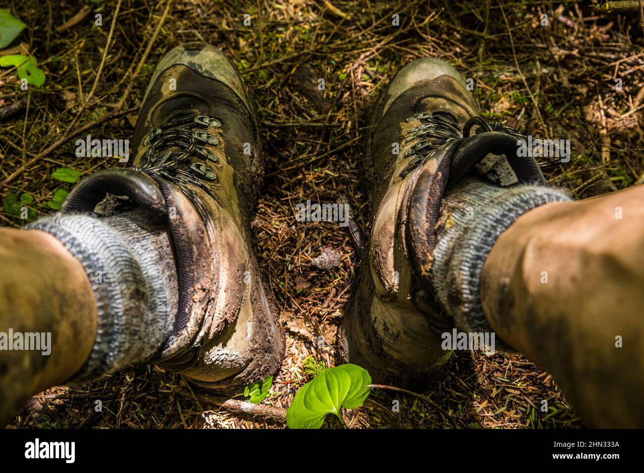 Bottes boueuses, tout en se reposant dans la forêt sur le sentier humide, lisse et escarpé de l'Overland, bande côtière du parc national olympique, Washington. Banque D'Images