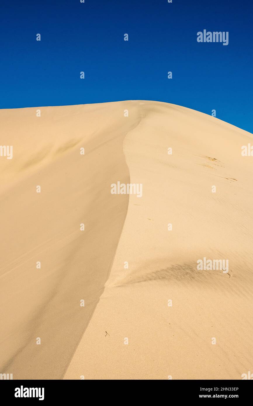 Légère S Curve chute le long de la crête d'une dune dans la vallée de Panamint, dans le parc national de la Vallée de la mort Banque D'Images