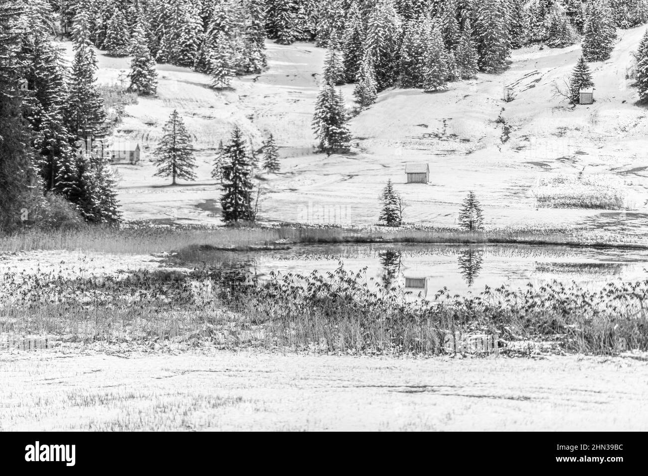Paysage d'un étang entouré d'arbres et de petites cabanes couvertes de neige en hiver Banque D'Images