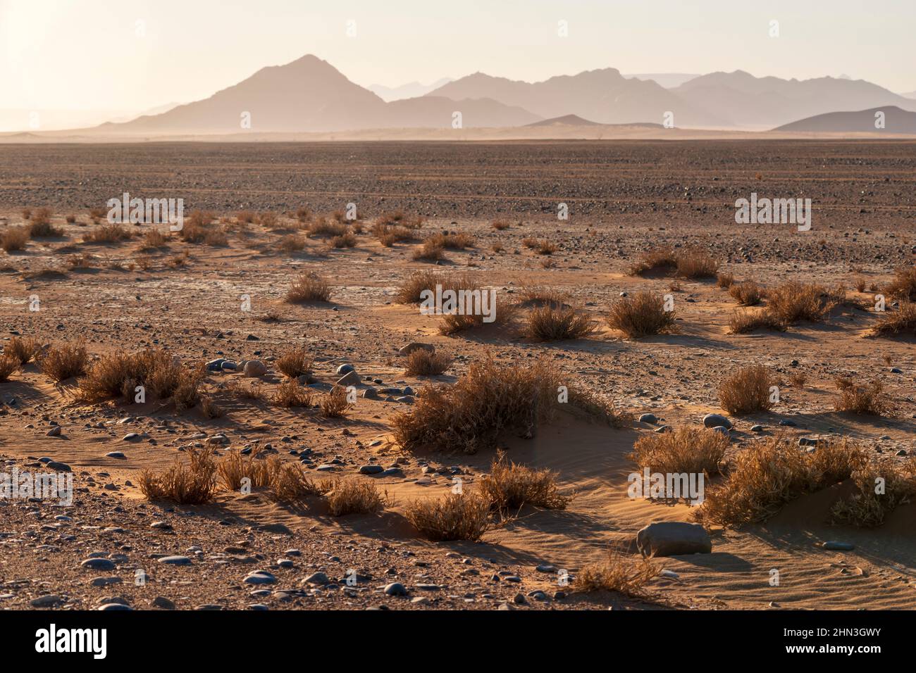 Paysage désertique avec des montagnes lointaines de Namibie le matin Banque D'Images