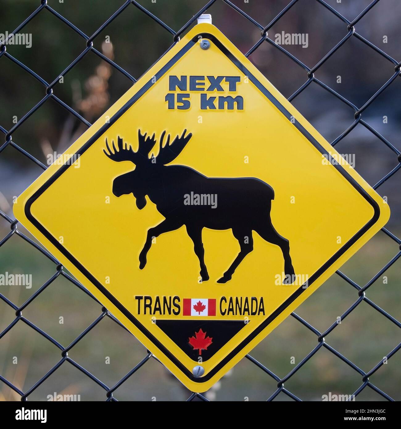 Panneau de passage à Moose le long du sentier Transcanadien dans la ville de Calgary Banque D'Images