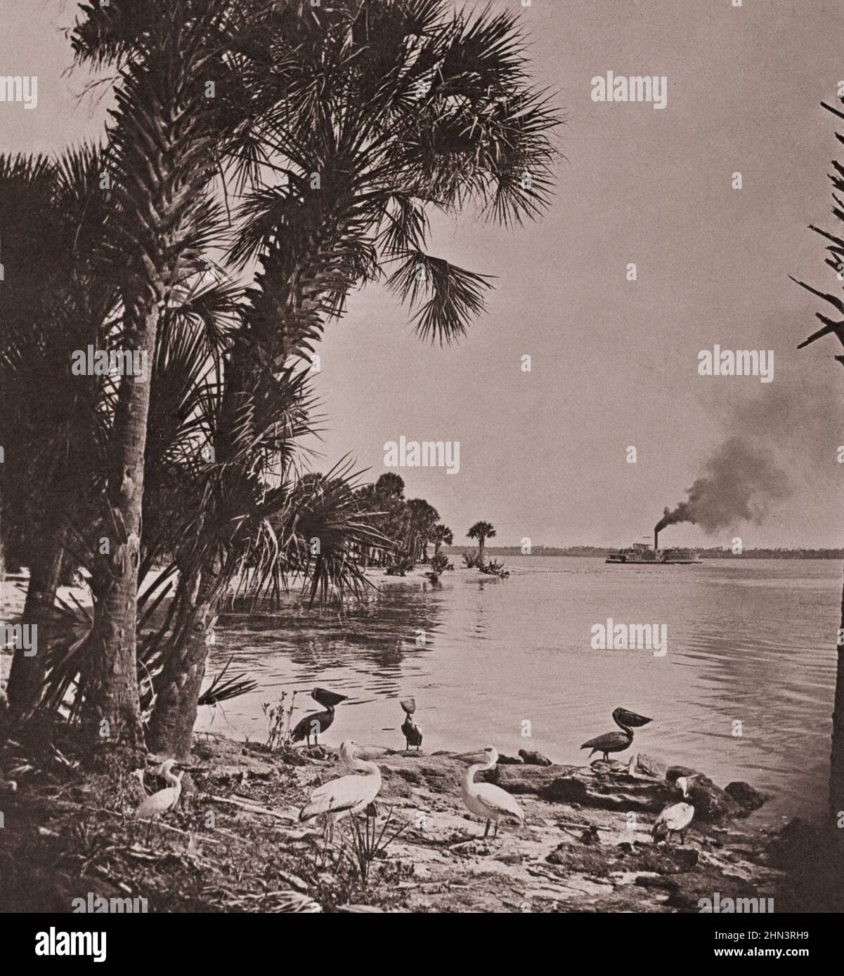 Photo d'époque d'un bateau à vapeur sur une rive de la rivière en Floride. ÉTATS-UNIS. 1907 Banque D'Images