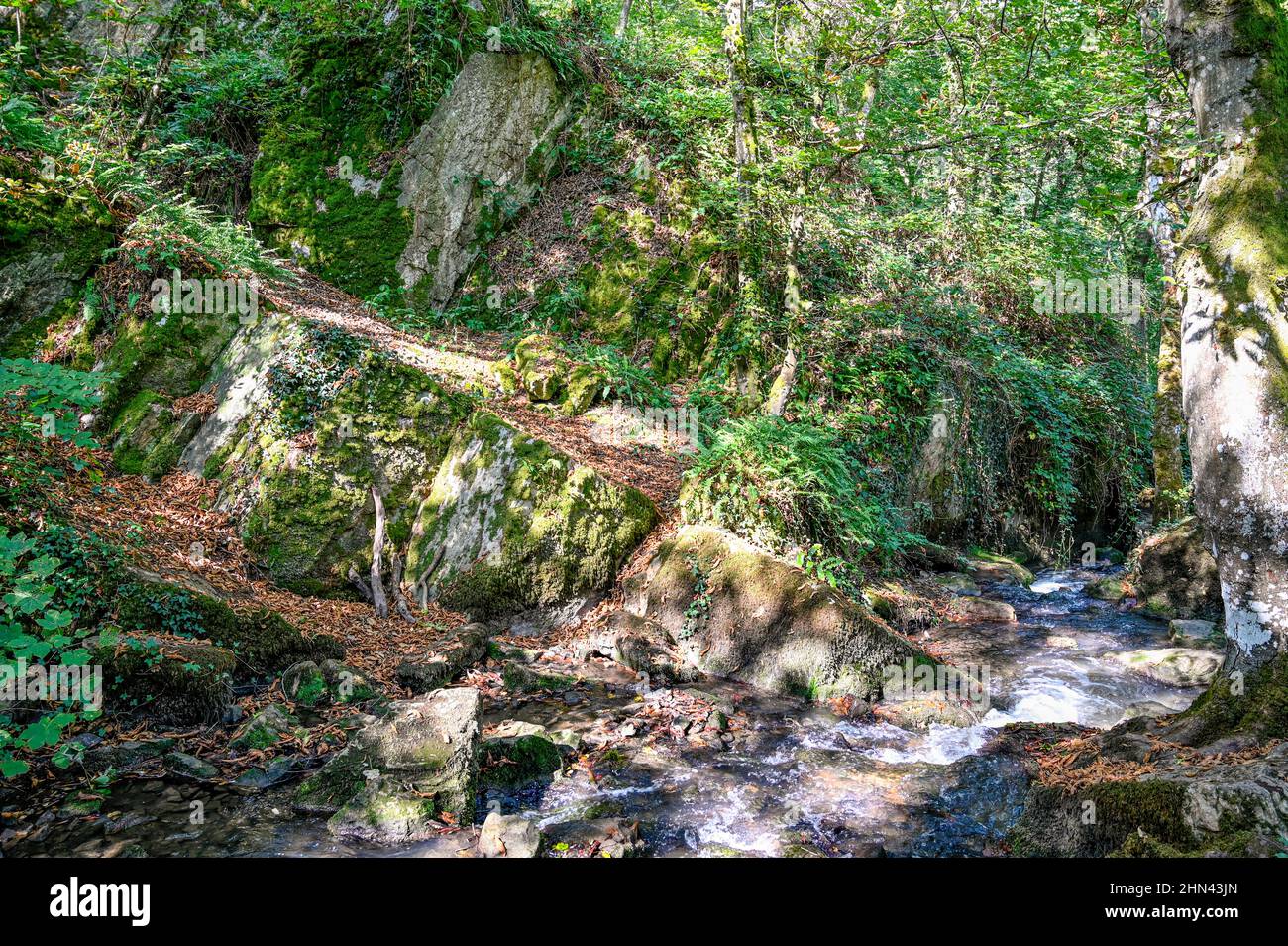 La brèche au Diable (Devil's Cut) est une coupe légendaire et une promenade populaire, entourée par la nature luxuriante dans le département français du Calvados. Banque D'Images