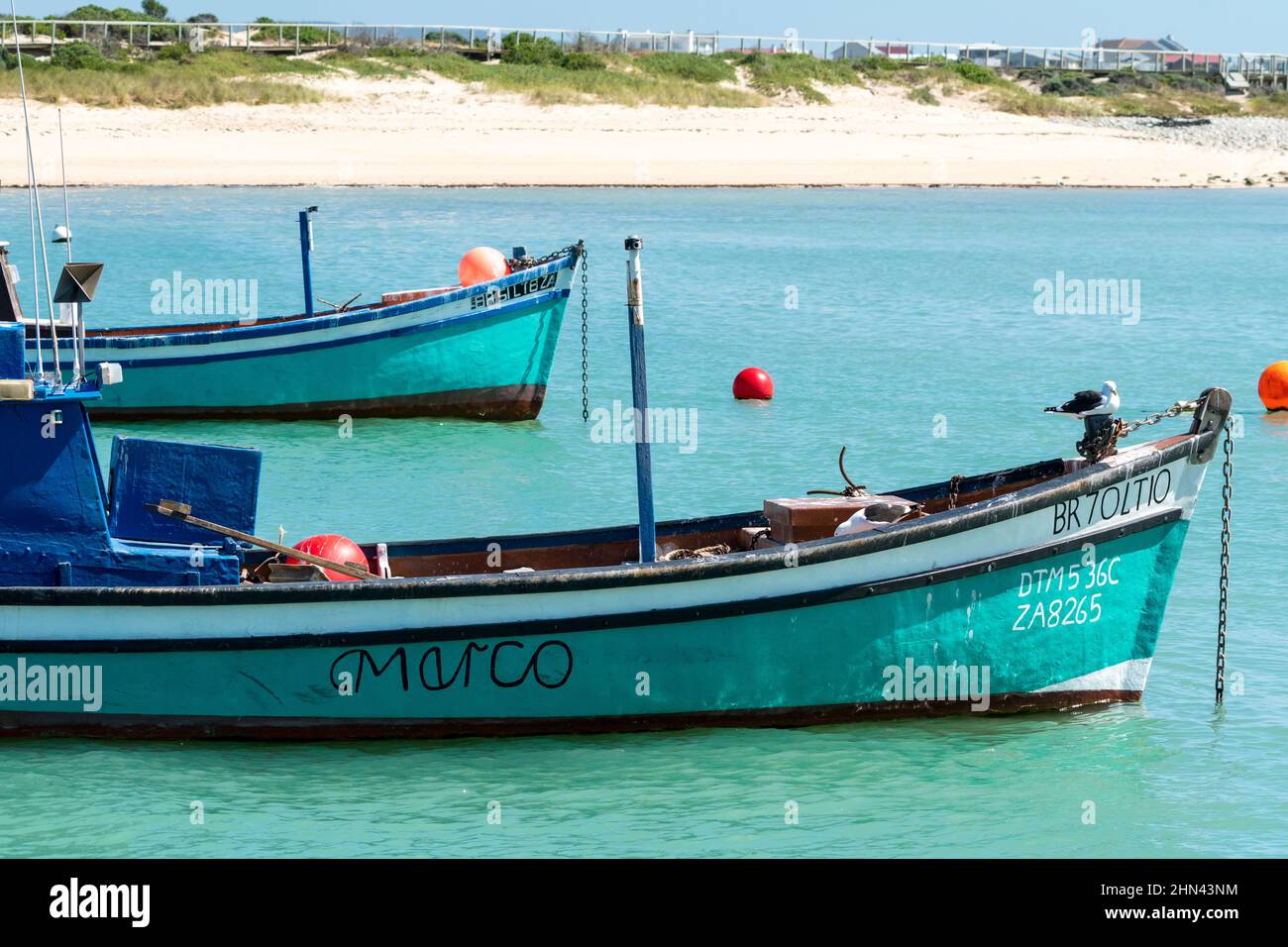 Bateaux de pêche traditionnels colorés ou écrevisses à l'ancre sur la mer à Struisbaai, Cap occidental, Afrique du Sud Banque D'Images