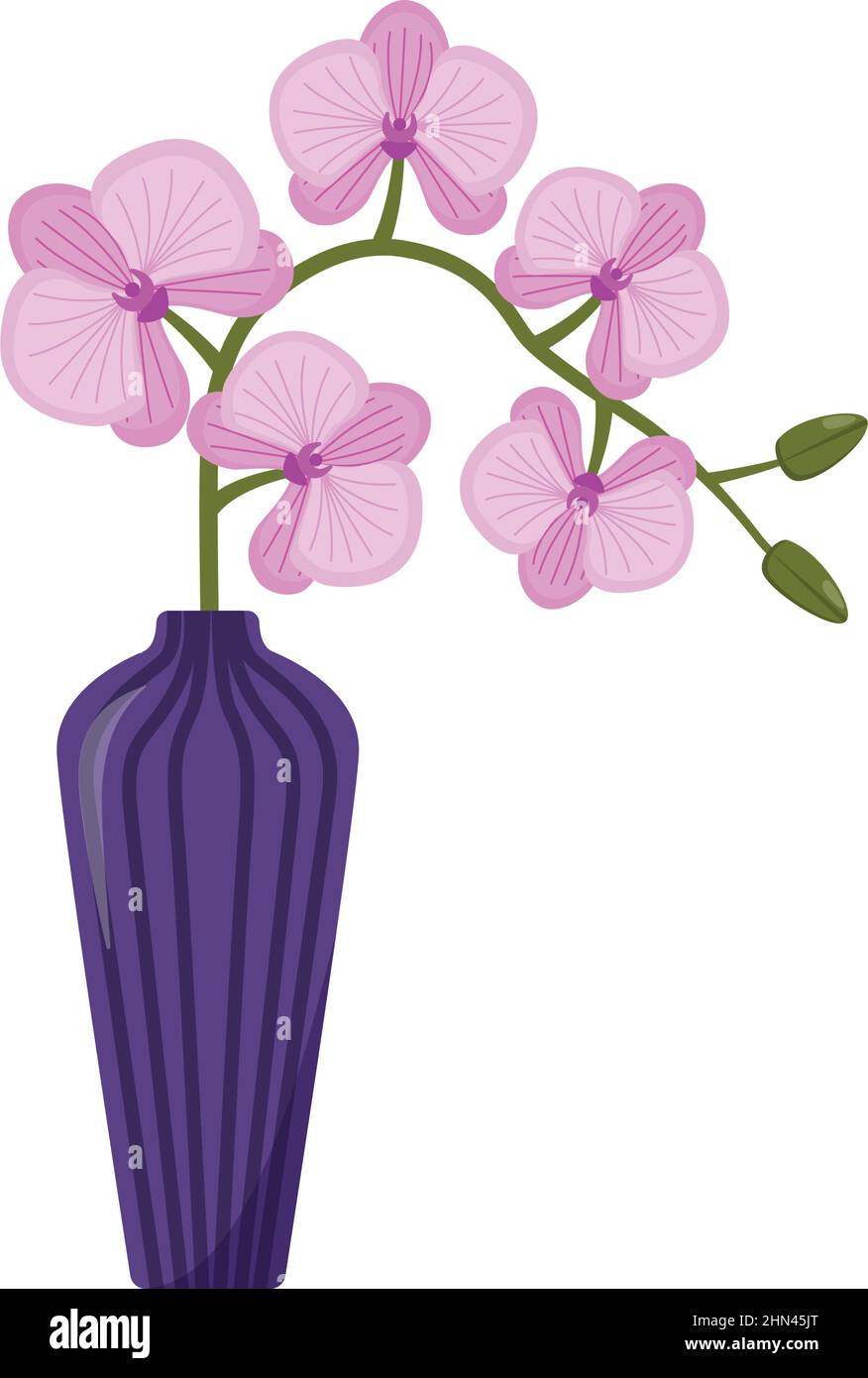 Orchidée rose clair dans un vase, illustration vectorielle Illustration de Vecteur