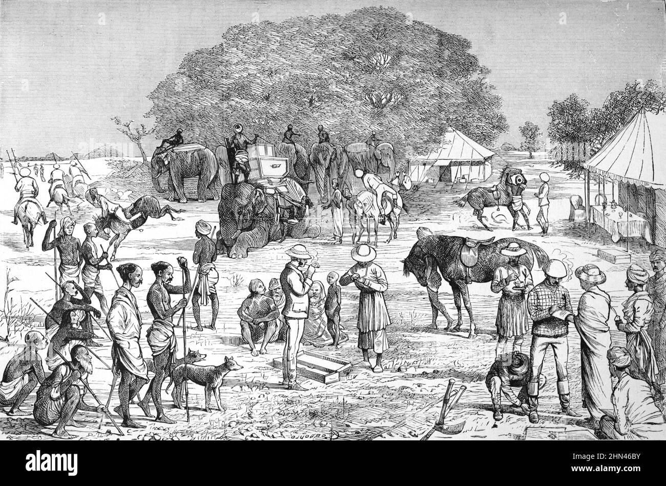 Chasse aux sangliers ou chasse aux cochons sauvages et chasseurs avec des éléphants au Bengale en Inde britannique ou en Inde coloniale. Illustration ancienne ou gravure 1880 Banque D'Images