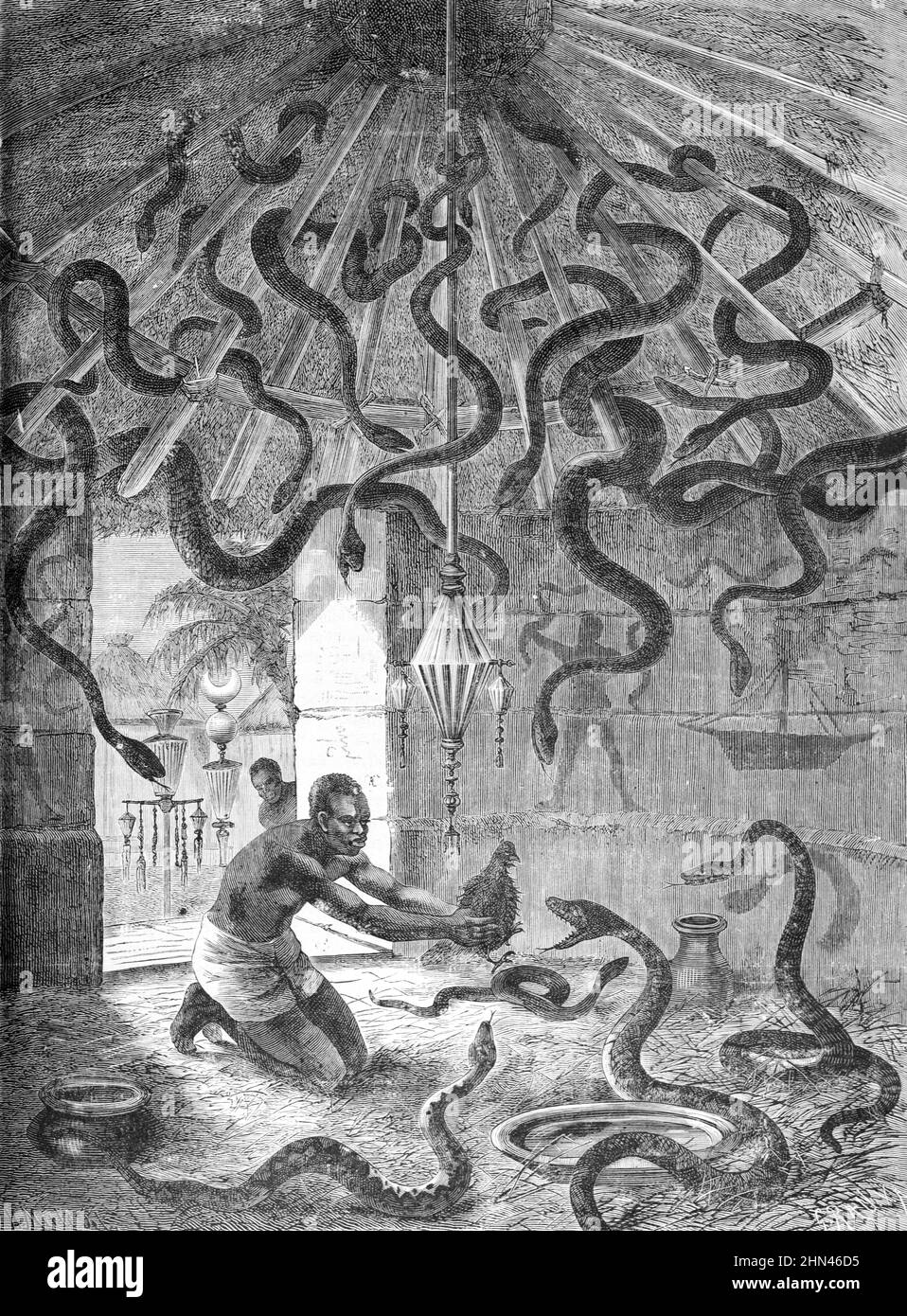 Charmer de serpent, Docteur de sorcière ou Sorcier dans le Temple de serpent ou Temple de Python à Ouidah ou Whydah Dahomey maintenant Bénin Afrique. Ouidah est un centre principal de la vodon ouest-africaine ou Voudou. Illustration vintage ou gravure 1881 Banque D'Images