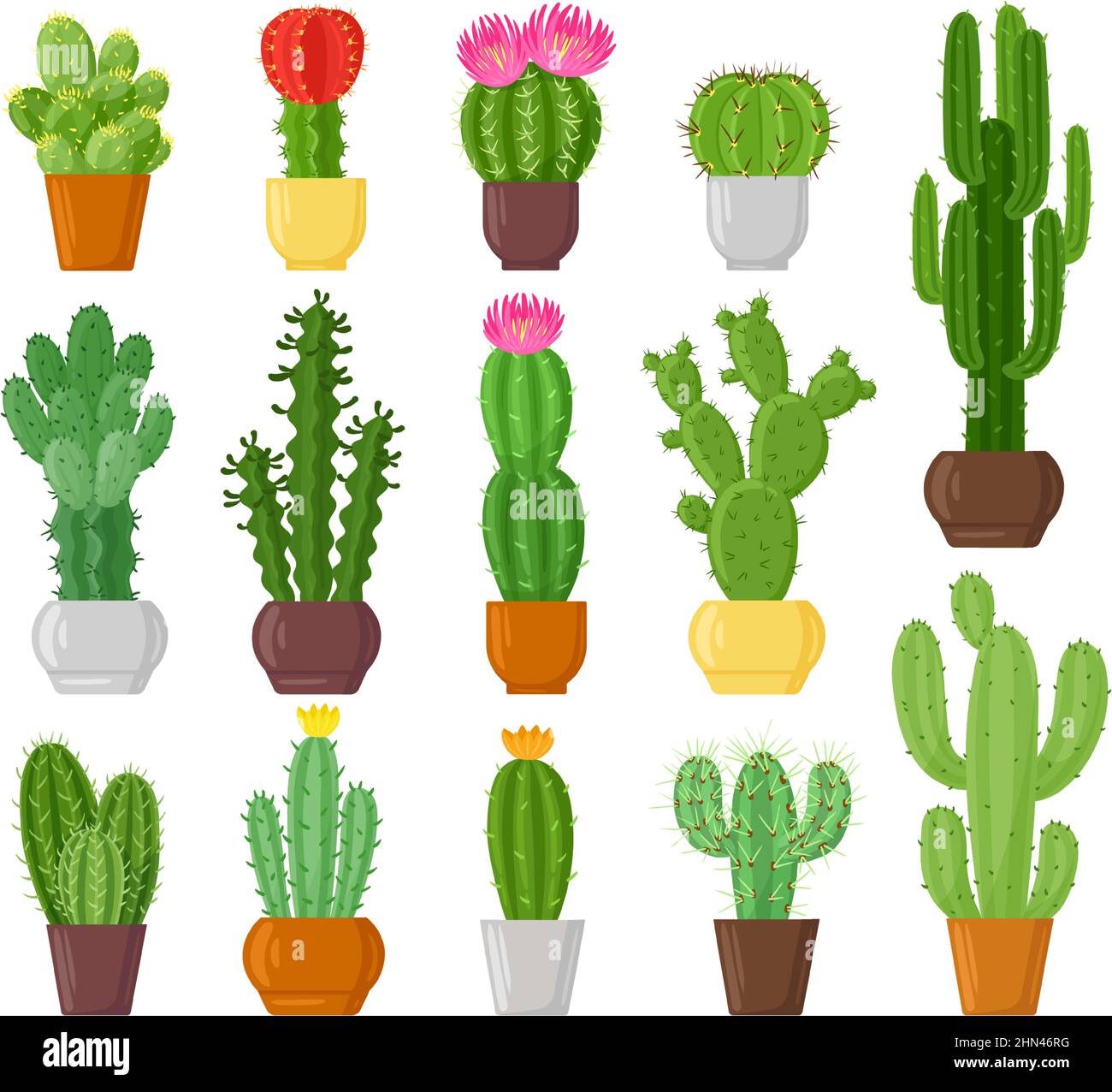 Cactus en pot de dessin animé, plantes désertiques, cactus et succulents. Plantes en pot d'intérieur, ensemble d'illustrations vectorielles fleurs de cactus vert botanique. Cactus Illustration de Vecteur