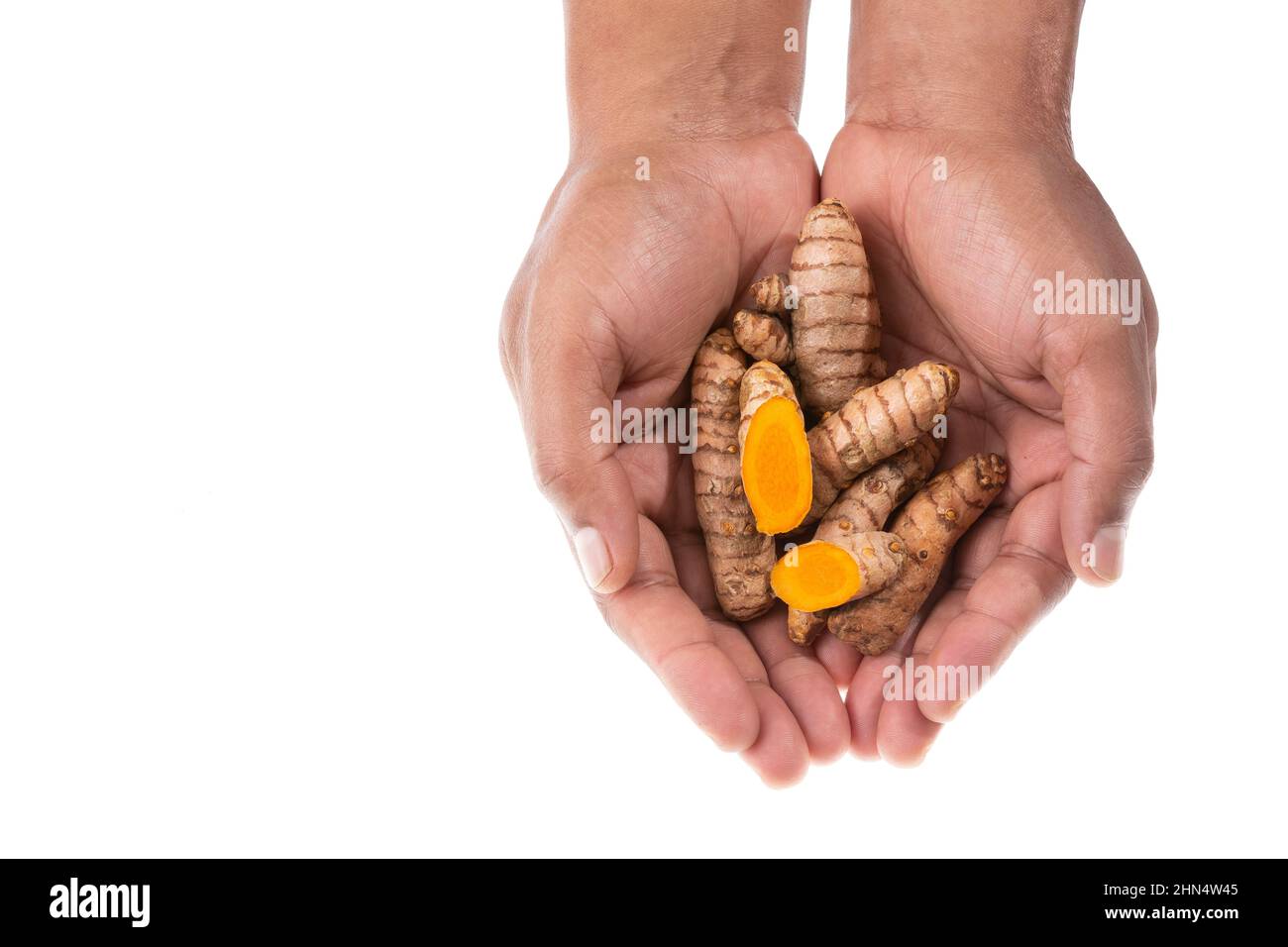 Curcuma Longa - mains mâles tenant des racines turmériques fraîches Banque D'Images