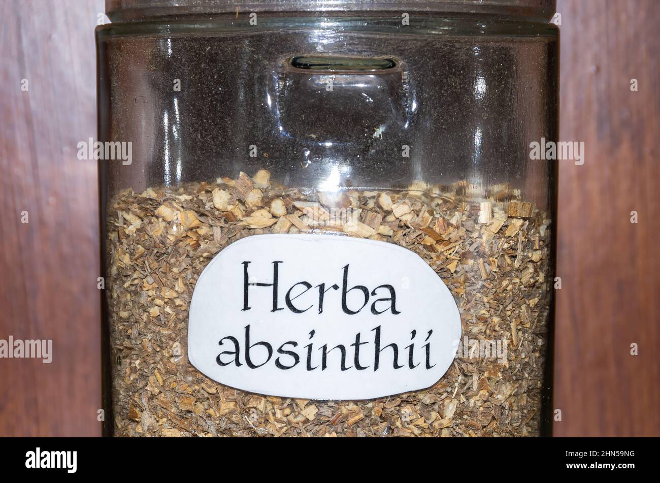 Un seul pot rempli d'herbe de bois de millepertuis, Artemisia absinthium. Banque D'Images