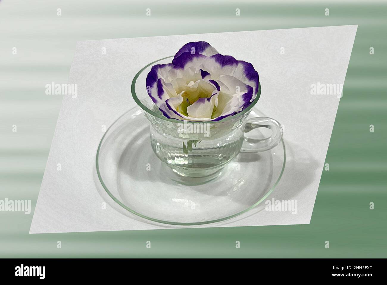 Fleur blanche violette dans une tasse de café Photo Stock - Alamy