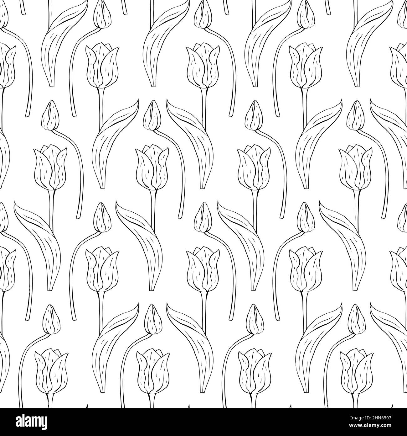 Noir et blanc monochrome vintage sans coutures avec art ligne tulipes fleurs sur blanc Illustration de Vecteur