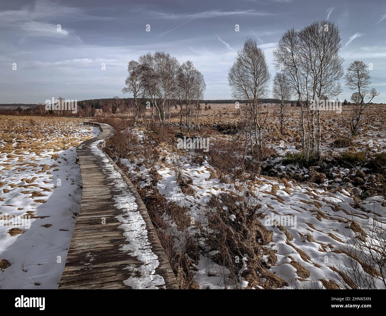 Un sentier en bois dans la lande de Hohes Fenn en hiver avec des taches de neige entre les roseaux et les arbres. Banque D'Images