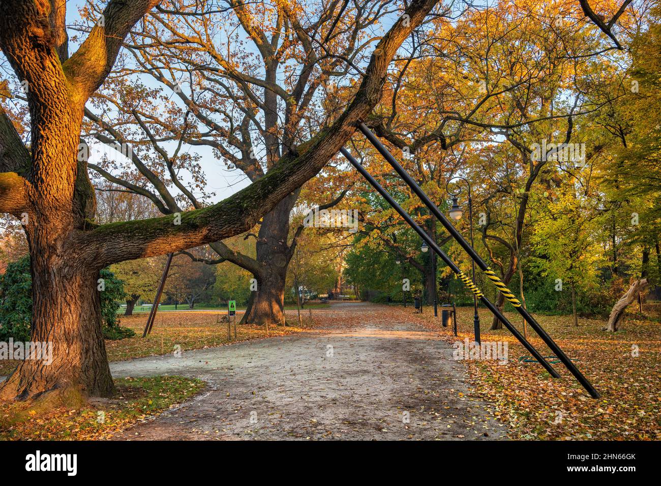 Supports de poteau en métal solide pour un vieux arbre branches au-dessus de la ruelle dans un parc. Banque D'Images