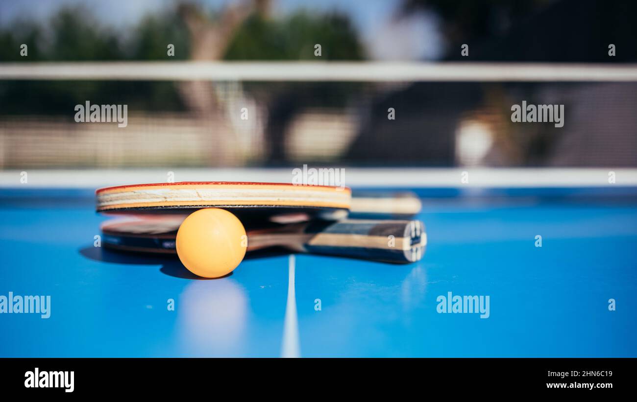 Deux raquettes de tennis de table à côté de la balle et le filet à l'arrière-plan Banque D'Images