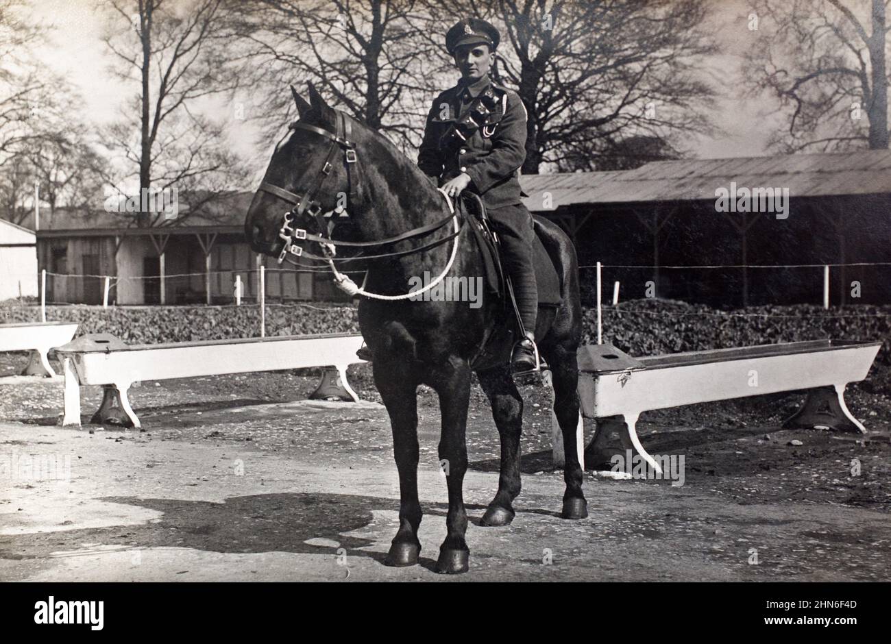 Une photo de la première Guerre mondiale d'un Gunner dans l'Artillerie de campagne royale monté sur un cheval dans une zone stable du dépôt d'artillerie à Boyton, en Cornouailles, en Angleterre, en Grande-Bretagne. Banque D'Images