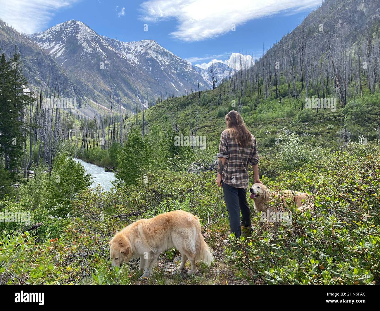 Randonnée femelle avec des chiens dans une vallée de rivière brûlée dans les Cascades du Nord Banque D'Images