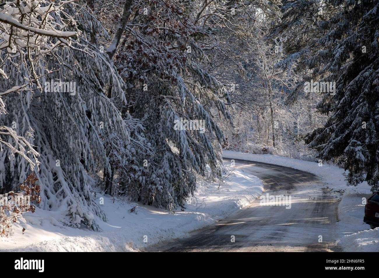 Une journée d'hiver dans le parc national Nickerson, Brewster, Massachusetts, sur Cape Cod, États-Unis Banque D'Images
