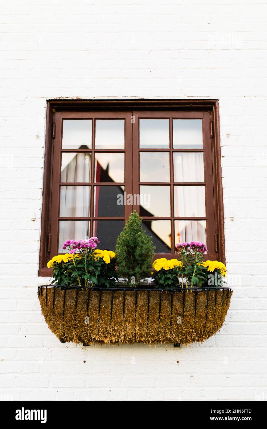 Belle fenêtre avec jardinière et brique blanche Banque D'Images