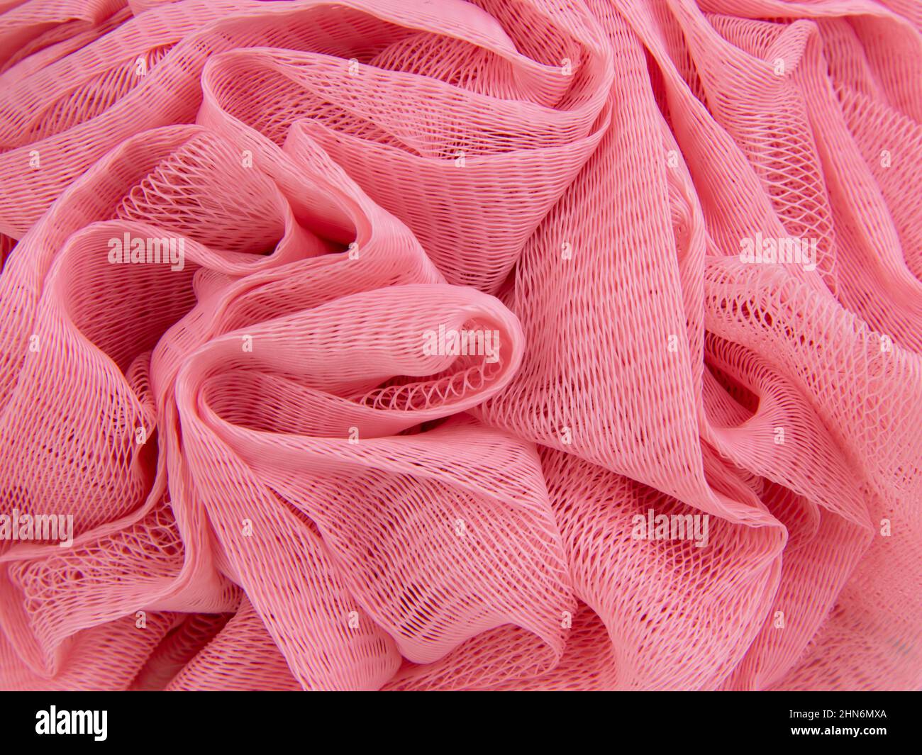 Éponge rose pour le soin de bain de douche texture Banque D'Images