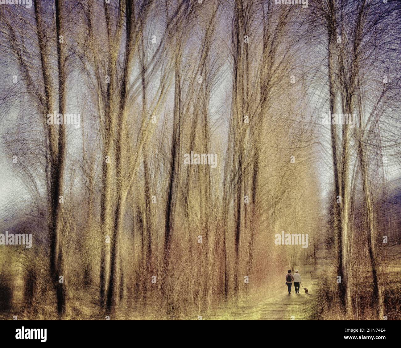 ART CONTEMPORAIN: La promenade du dimanche (Loisach Moor près de Bichl, Oberbayern, Allemagne) Banque D'Images