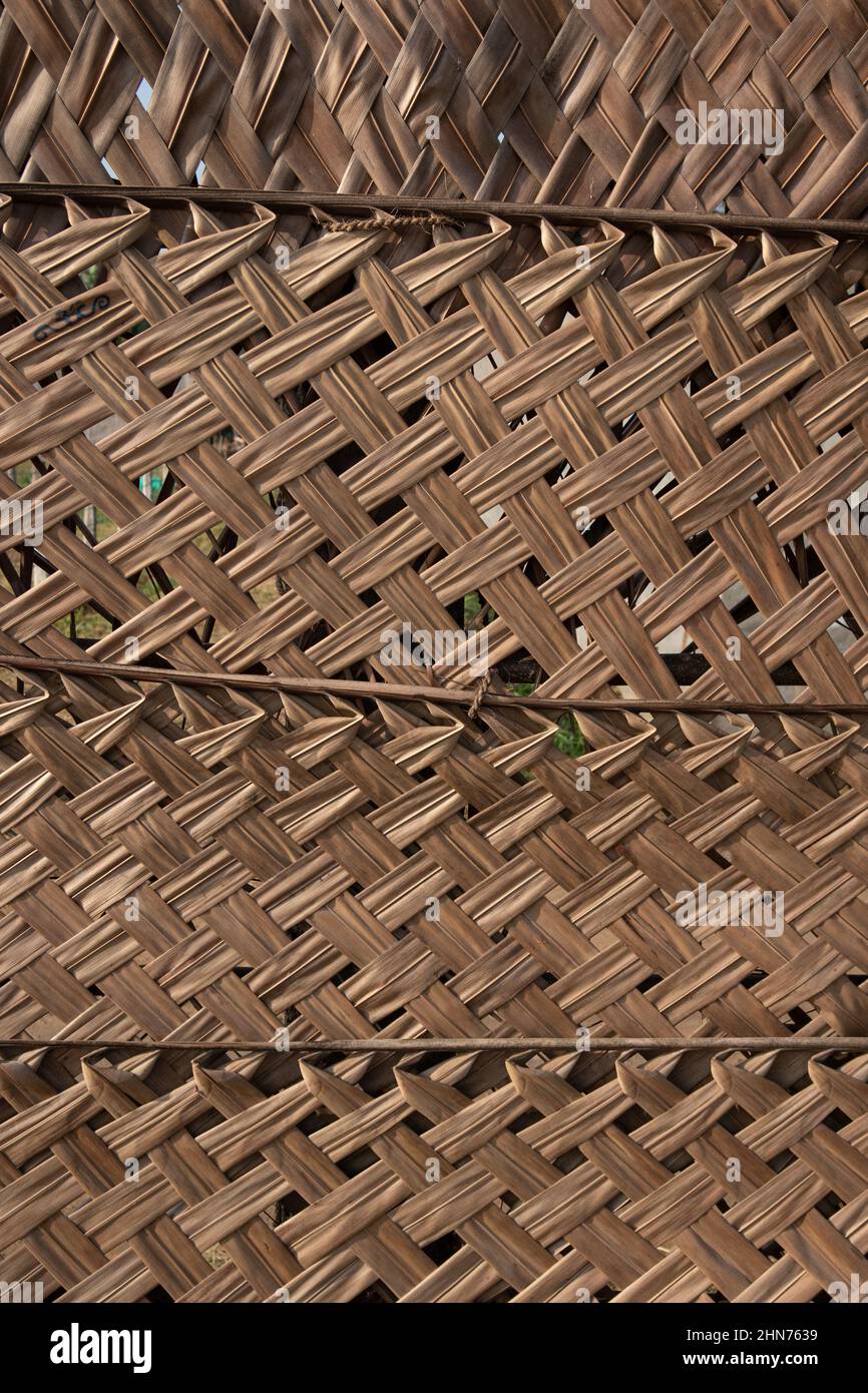 Motif de texture sèche feuille de noix de coco rasée Banque D'Images