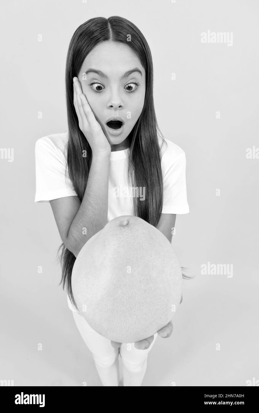 oh mon dieu. grands agrumes exotiques. pummelo frais mûr naturel biologique. vie saine. alimentation aux fruits. Banque D'Images