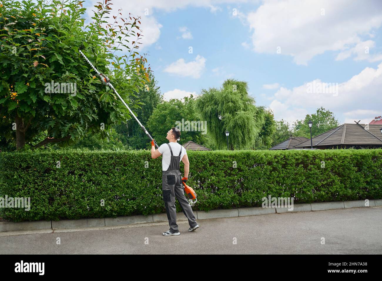 Jardinier mâle caucasien dans des arbres de coupe uniforme avec coupe électrique dans le jardin. Équipement de jardinage moderne pour le travail. Processus d'aménagement paysager pendant l'été. Banque D'Images