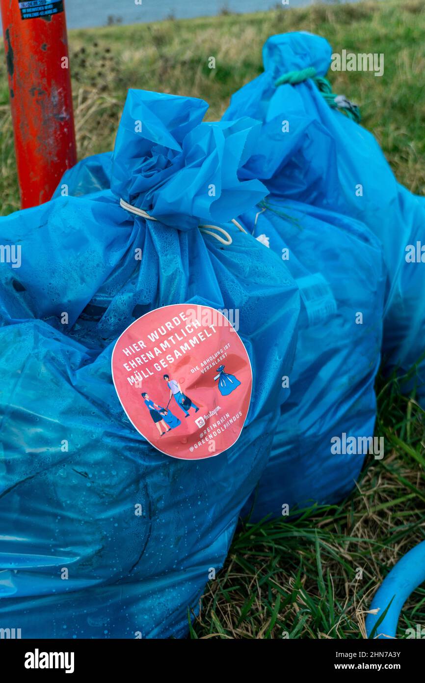 Le Rhin près de Düsseldorf, sacs de déchets collectés dans les prés du Rhin en attente d'être emmenés, action volontaire de collecte, #Reinrhein, NRW, germe Banque D'Images