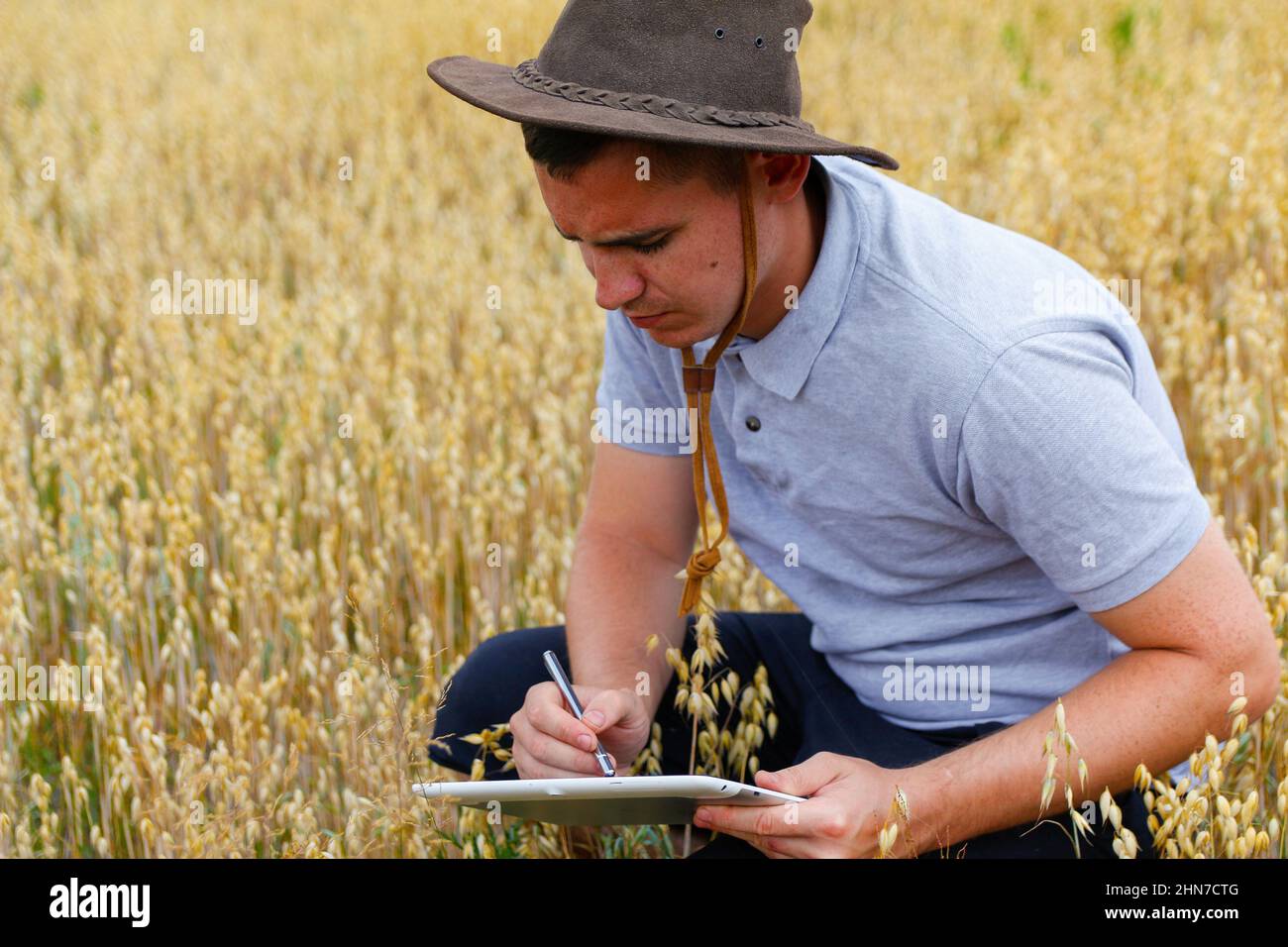 Ferme numérique. Portrait d'un agriculteur assis dans un champ de blé d'or et inscription sur une tablette. Jeune homme portant un chapeau de cow-boy au champ examinant la récolte de blé. Avoine Banque D'Images