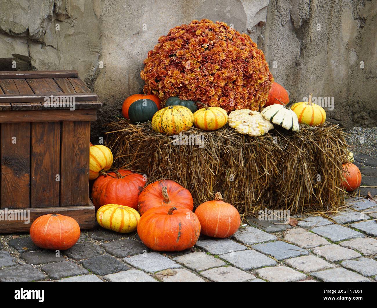 Citrouilles pendant la fête d'Halloween Banque D'Images