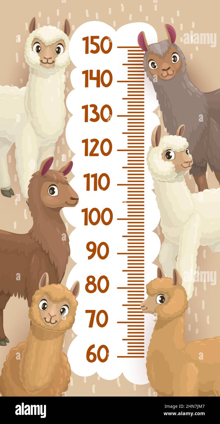 Hauteur de la courbe de croissance mesurer la règle llama, alpaga, guanaco et vicuna dessins animaux. Vector Meter pour les enfants avec des personnages péruviens amusants. Adhésif mural Illustration de Vecteur