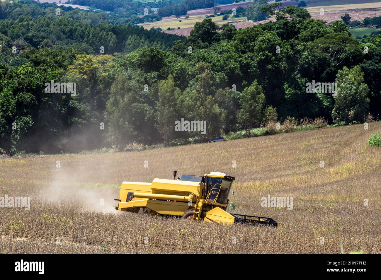 Récolte mécanisée de soja sur une ferme au Brésil Banque D'Images