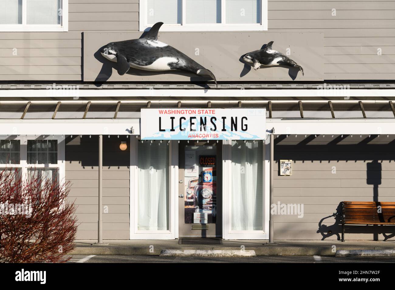 Anacortes, WA, USA - 12 février 2022; bureau de délivrance de permis de l'État de Washington à Anacortes, Washington, avec image de plaque d'immatriculation et de baleines d'orques Banque D'Images