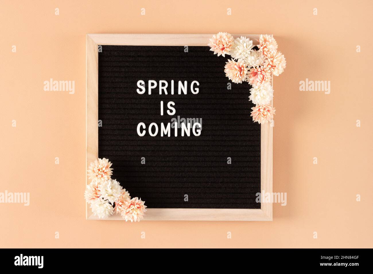 Le tableau de lettres en feutre noir avec Spring vient du texte blanc et des fleurs sur fond de mur beige. Cadre en bois fleuri en fleur. En attente du printemps Banque D'Images