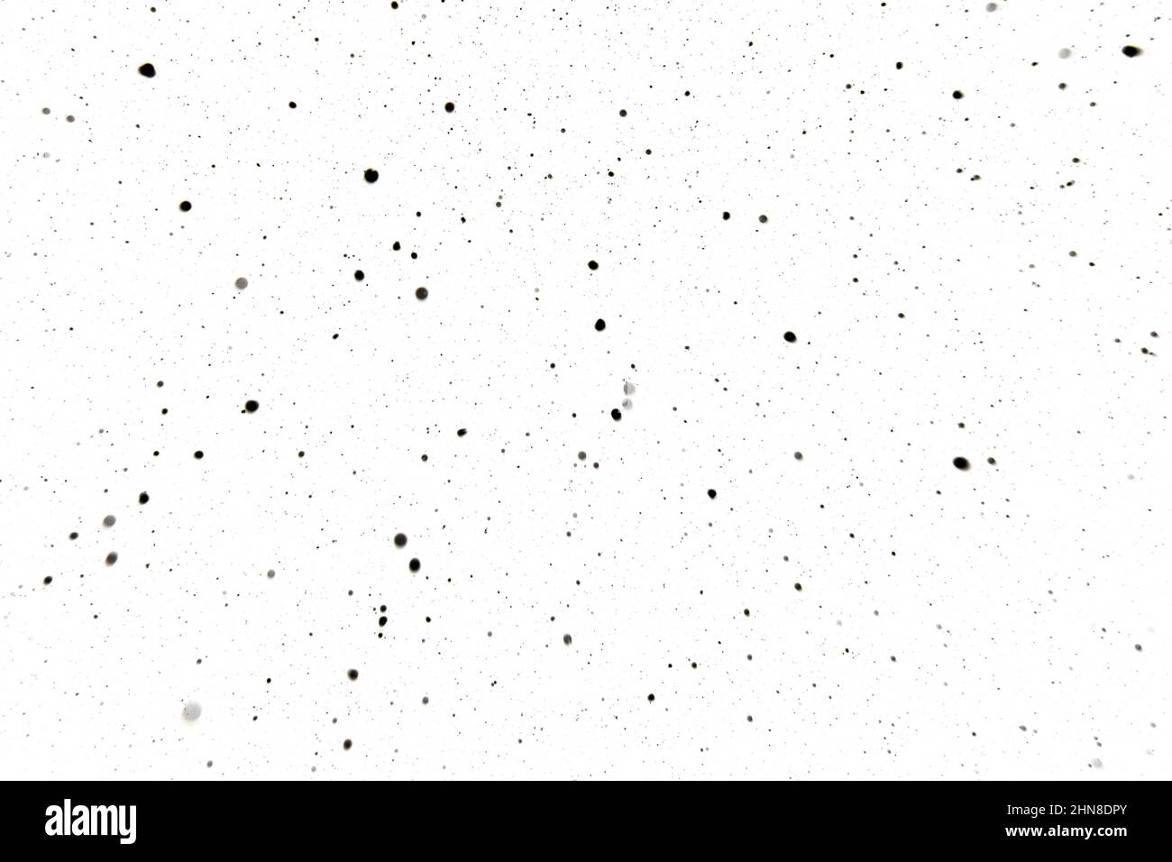 Taches noires et grises sur blanc. Taches grises plus larges et plus petites taches ou particules sur le blanc. Arrière-plan abstrait tacheté. Banque D'Images