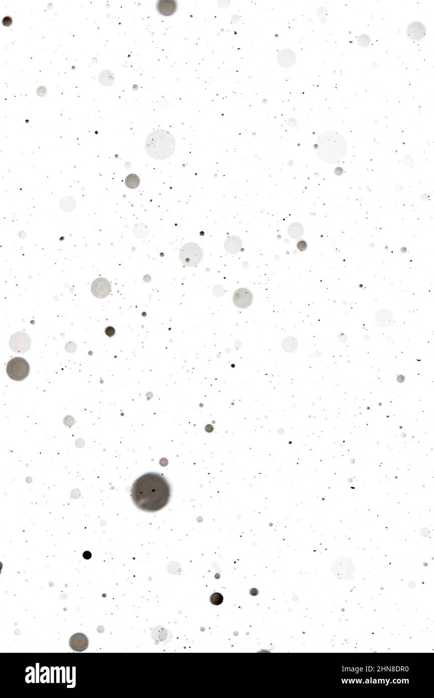 Taches grises sur blanc. Des points gris plus gros et plus petits, ou des trous plus petits, sur du blanc. Arrière-plan abstrait tacheté. Banque D'Images