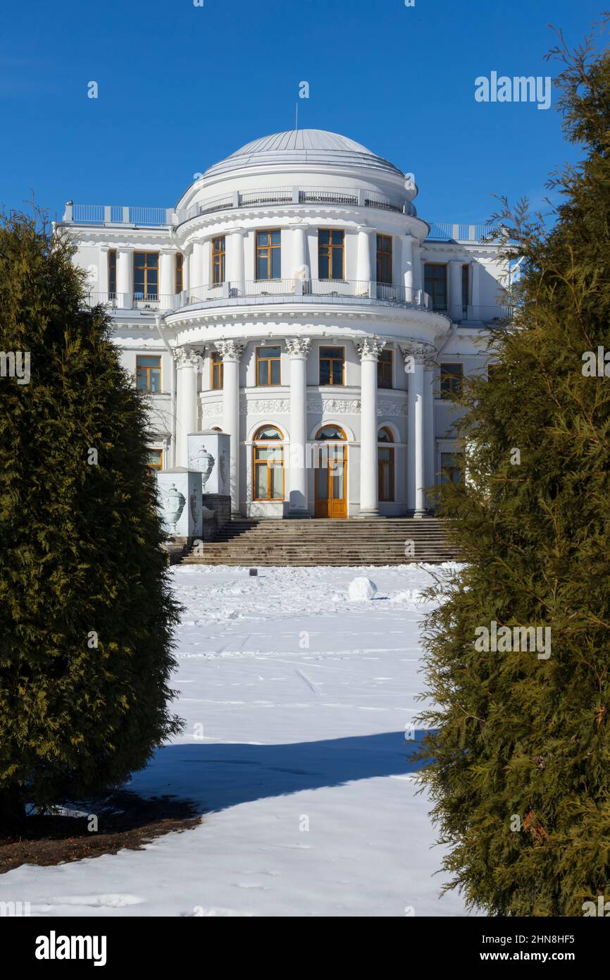 Façade du palais d'Elagin parmi les thujas dans l'orientation verticale du printemps enneigé (St. Petersburg, Russie) Banque D'Images