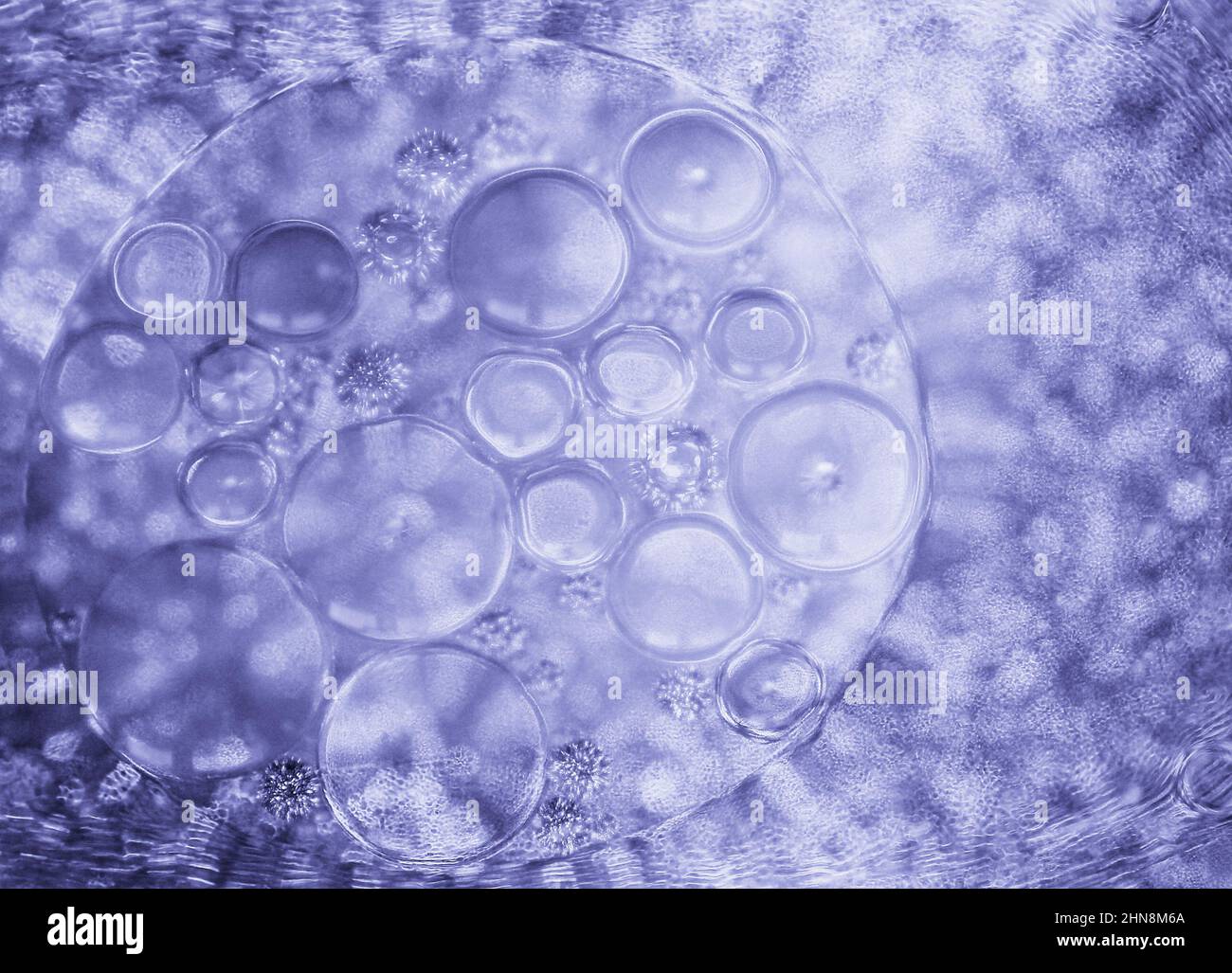 Arrière-plan abstrait cosmique. La sctructure abstraite de la molécule. Bulle d'eau. Couleurs très peri Banque D'Images