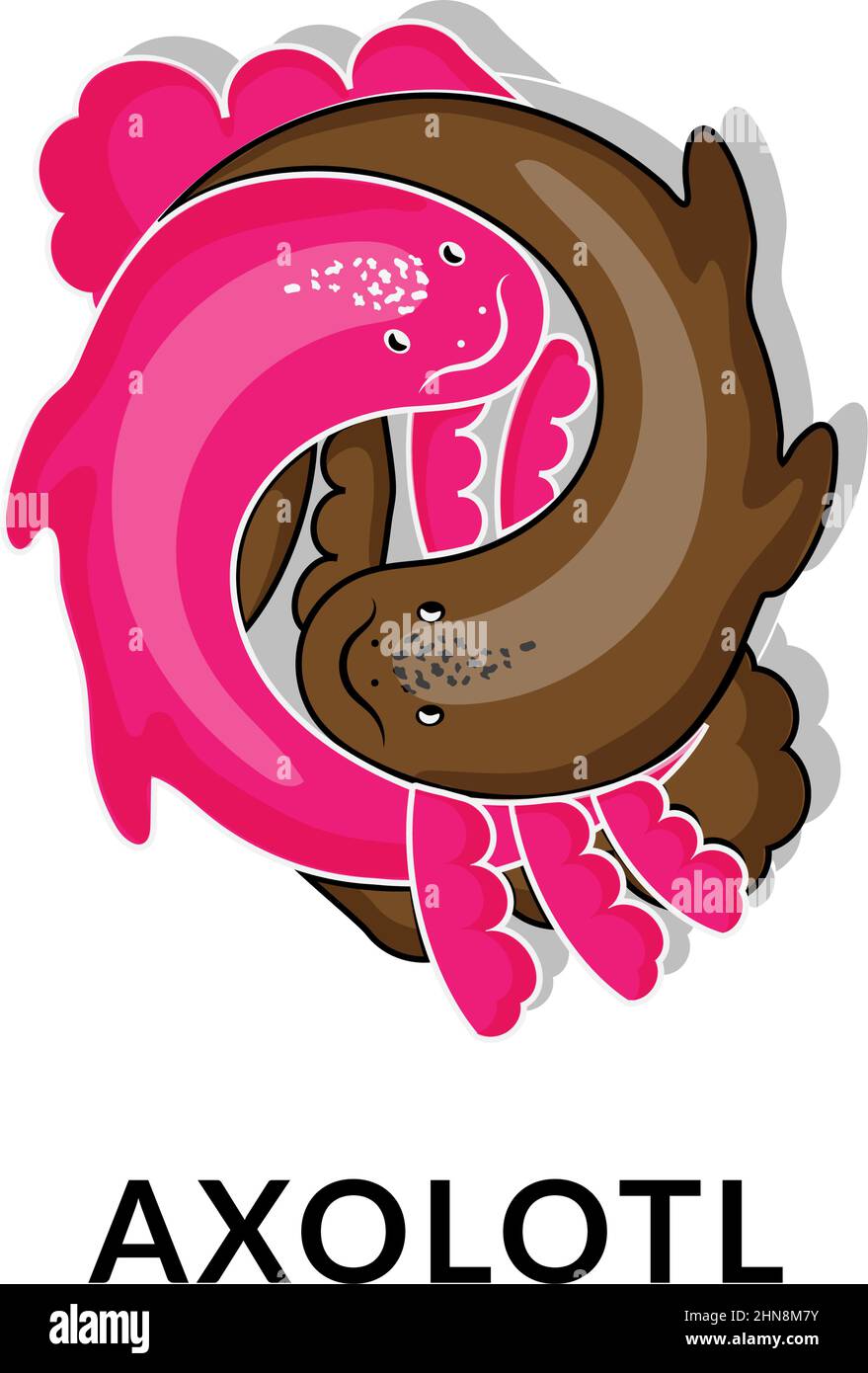 Joli axolotl, illustration vectorielle de style dessin animé. Icône animal. Yin et Yang. Axolotl rose et chocolat. Logo dans un style linéaire tendance. Illustration de Vecteur