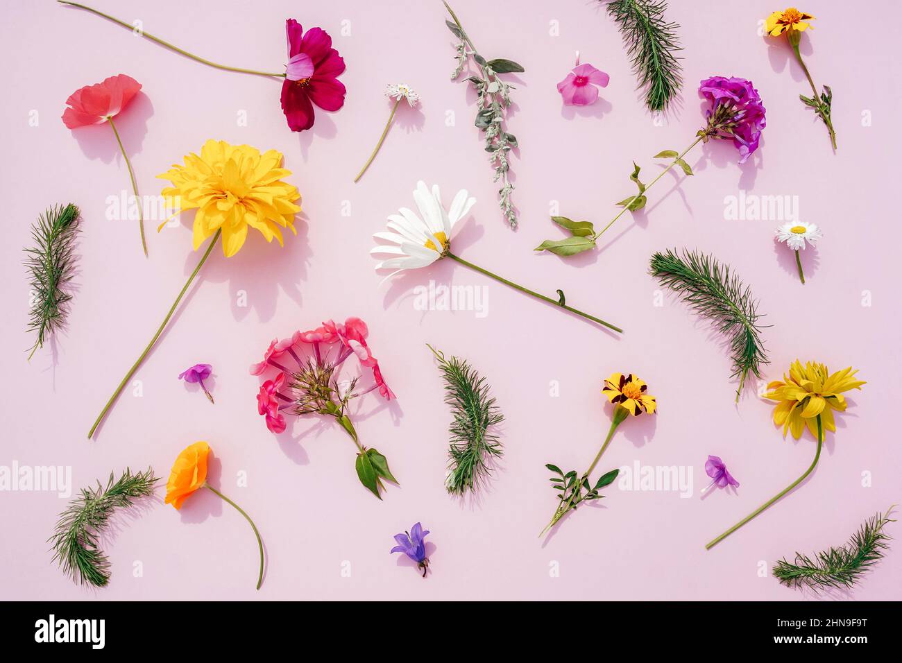 Composition de fleurs sur fond rose, espace de copie. Flat lay, vue de dessus. Banque D'Images