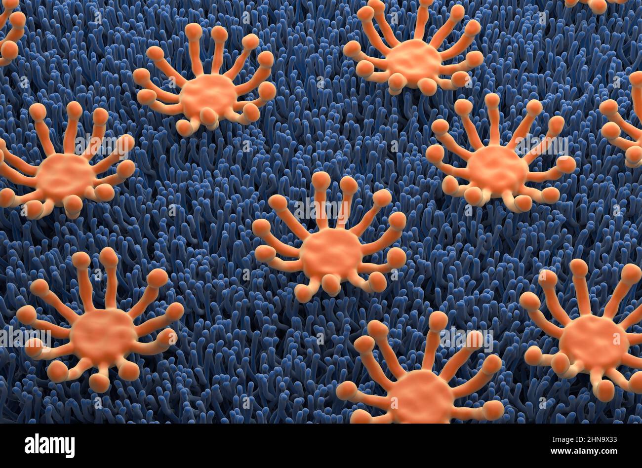 Champ du récepteur odorant (olfactif) dans la paroi nasale - illustration de la vue isométrique 3D Banque D'Images