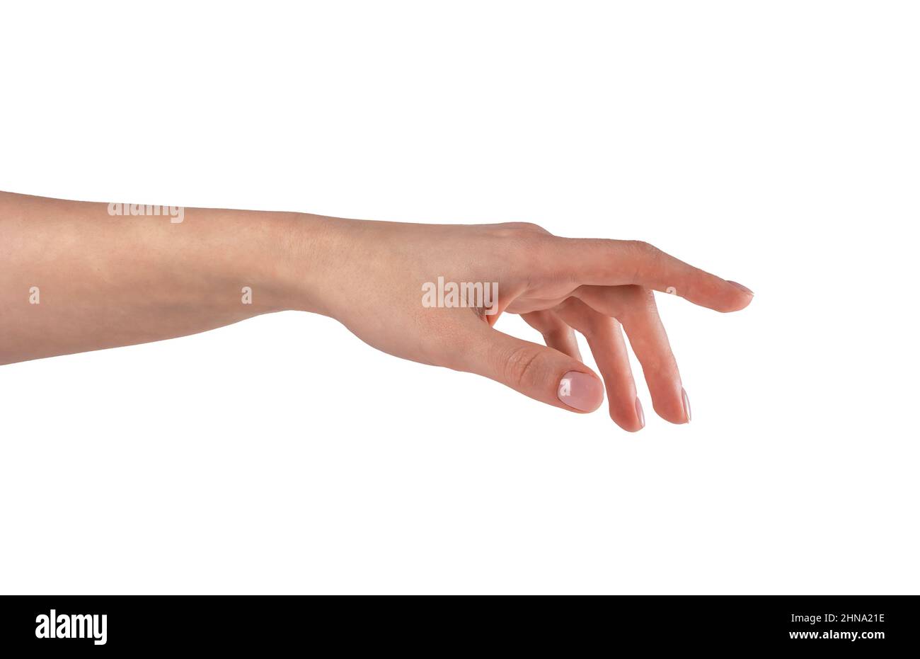 Femme main montrant, touchant ou pointant avec l'index vers quelque chose. Mouvement de la main isolé sur fond blanc. Photo de haute qualité Banque D'Images