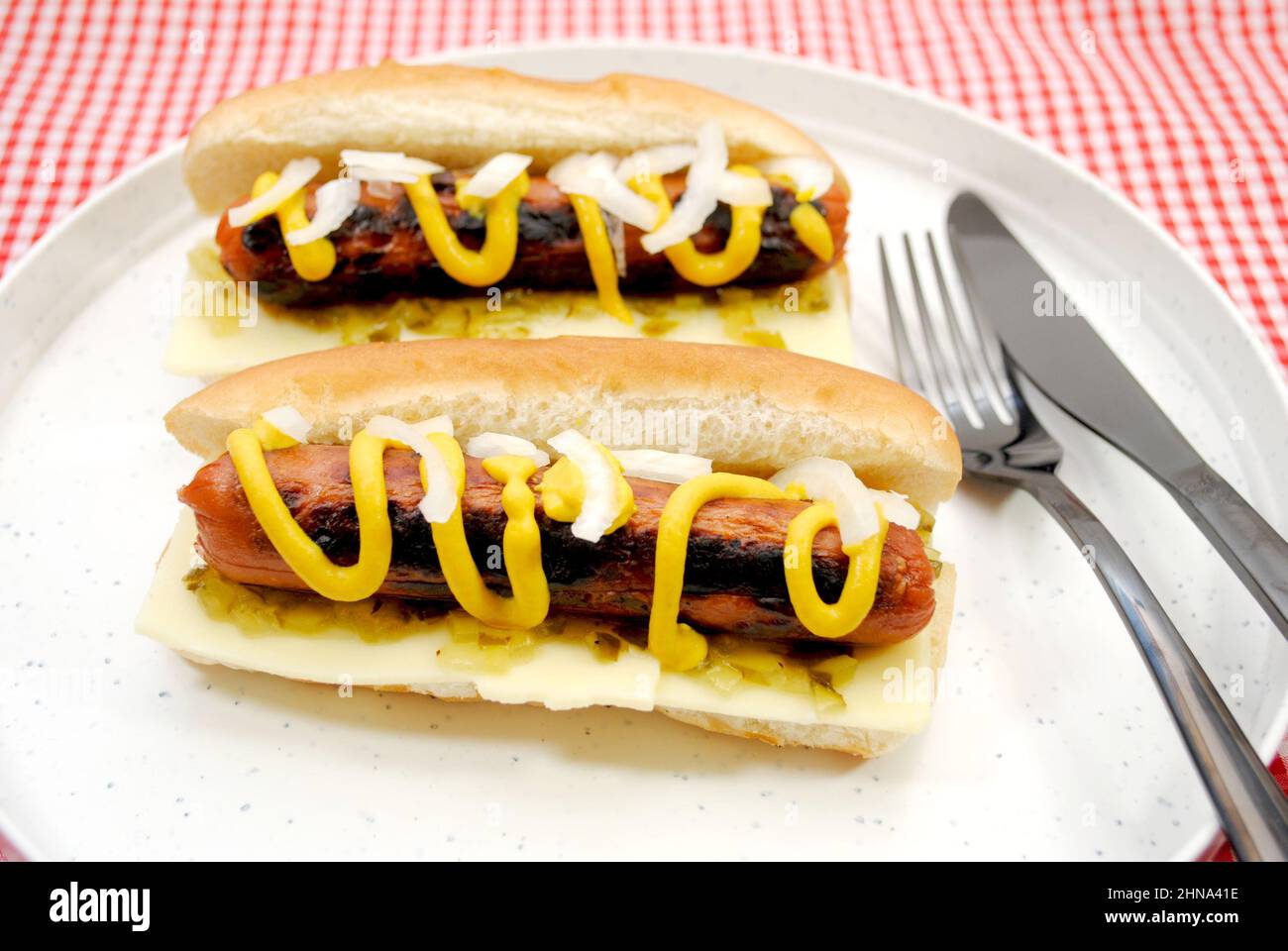 Hot dogs avec oignons, relish et moutarde sur une assiette Banque D'Images