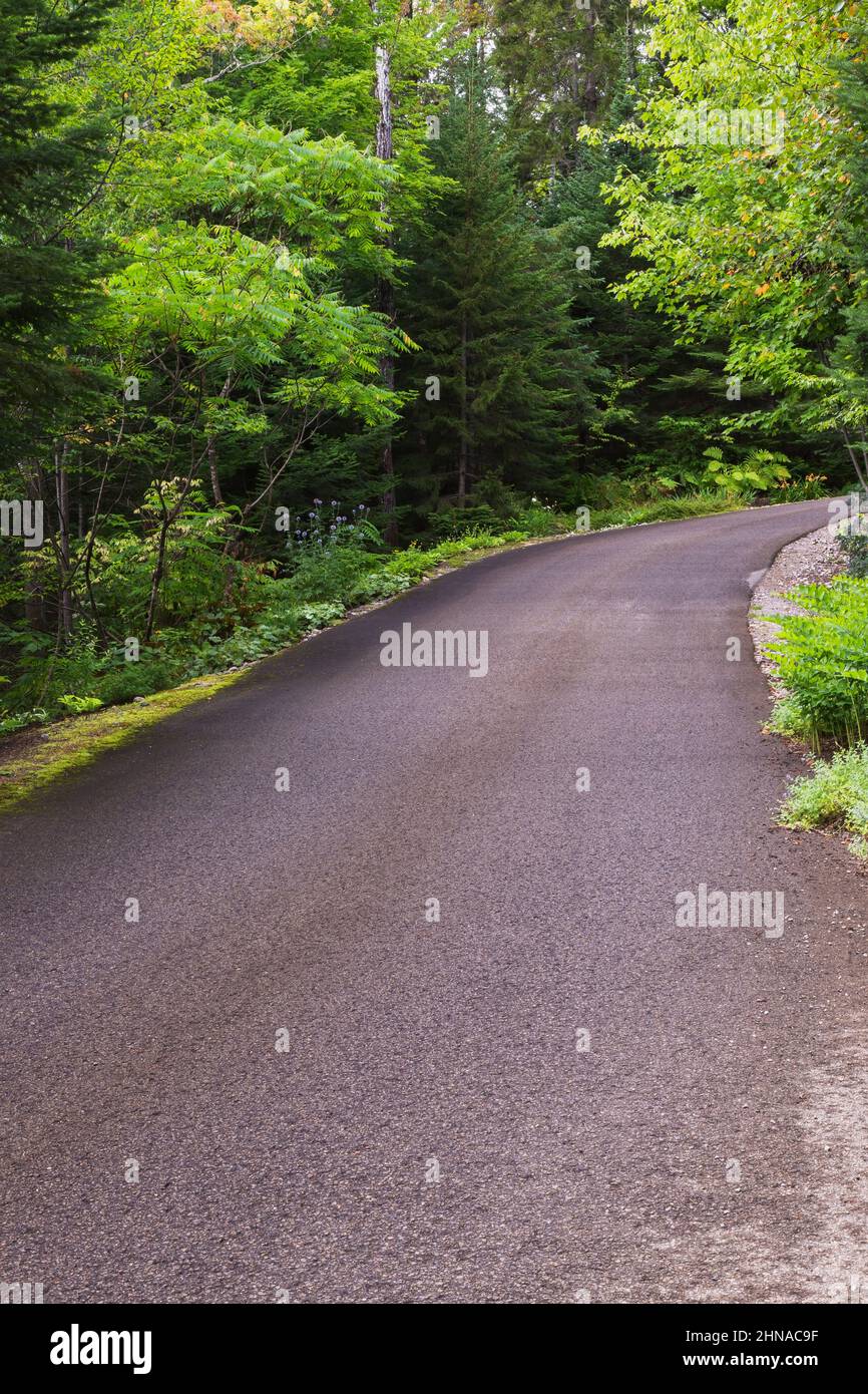 Long chemin d'asphalte noir avec courbe droite à travers la forêt d'arbres à feuilles caduques et à feuilles persistantes à la fin de l'été. Banque D'Images