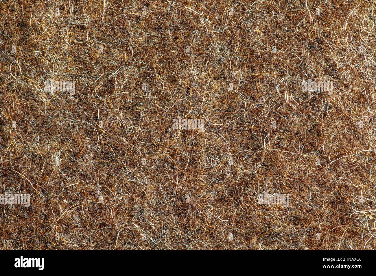 Arrière-plan tricoté des cheveux de chien. Fils pour tricoter à partir de peluches de chiens. Produit médical. Banque D'Images