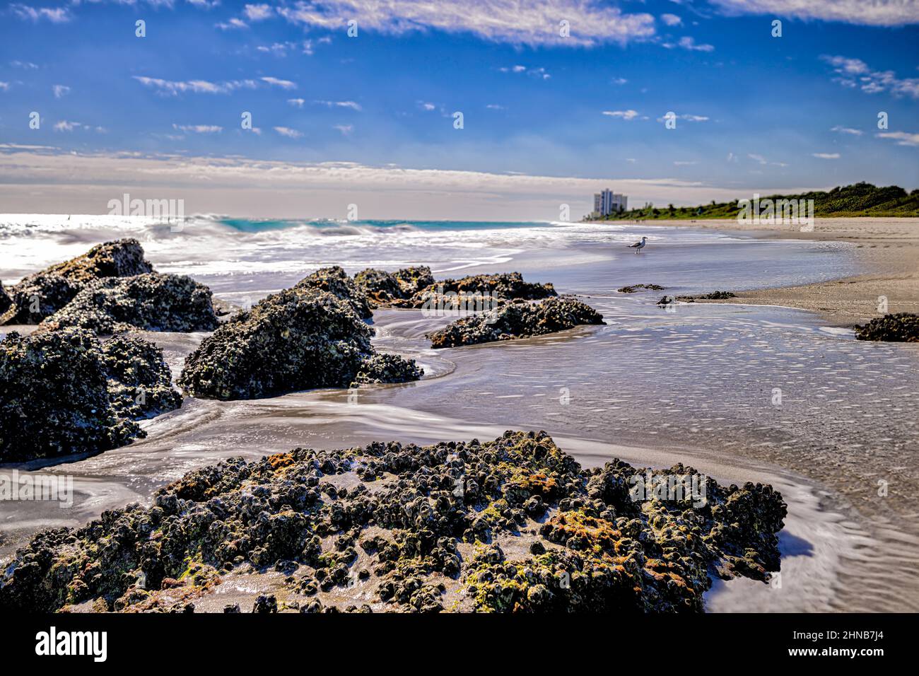Rochers de calcaire et plage de Red Reef Park à Boca Raton en Floride Banque D'Images